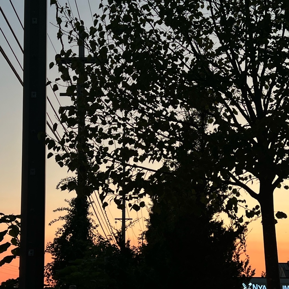 Meet your Posher, Francis